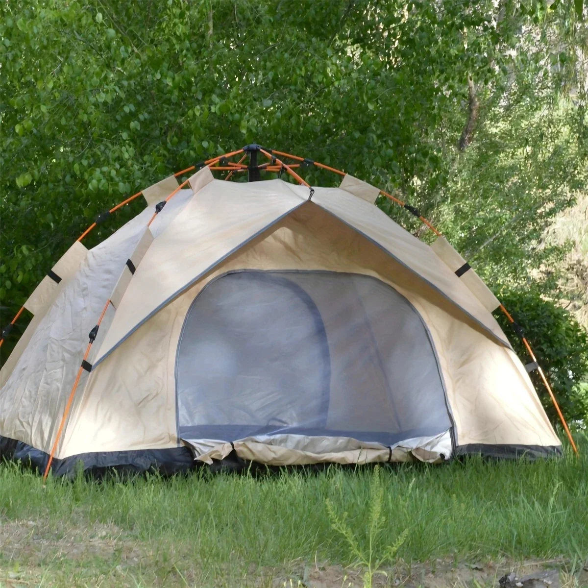 4-Person Automatic Pop-Up Tent, Light Brown, Square, Normal Waterproof, Zipper C